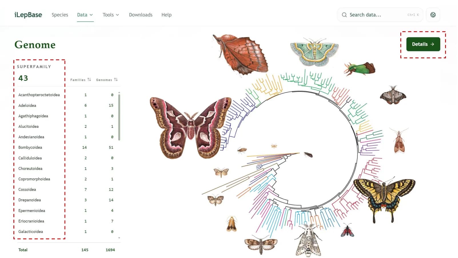Genome overview phylogenetic tree interface