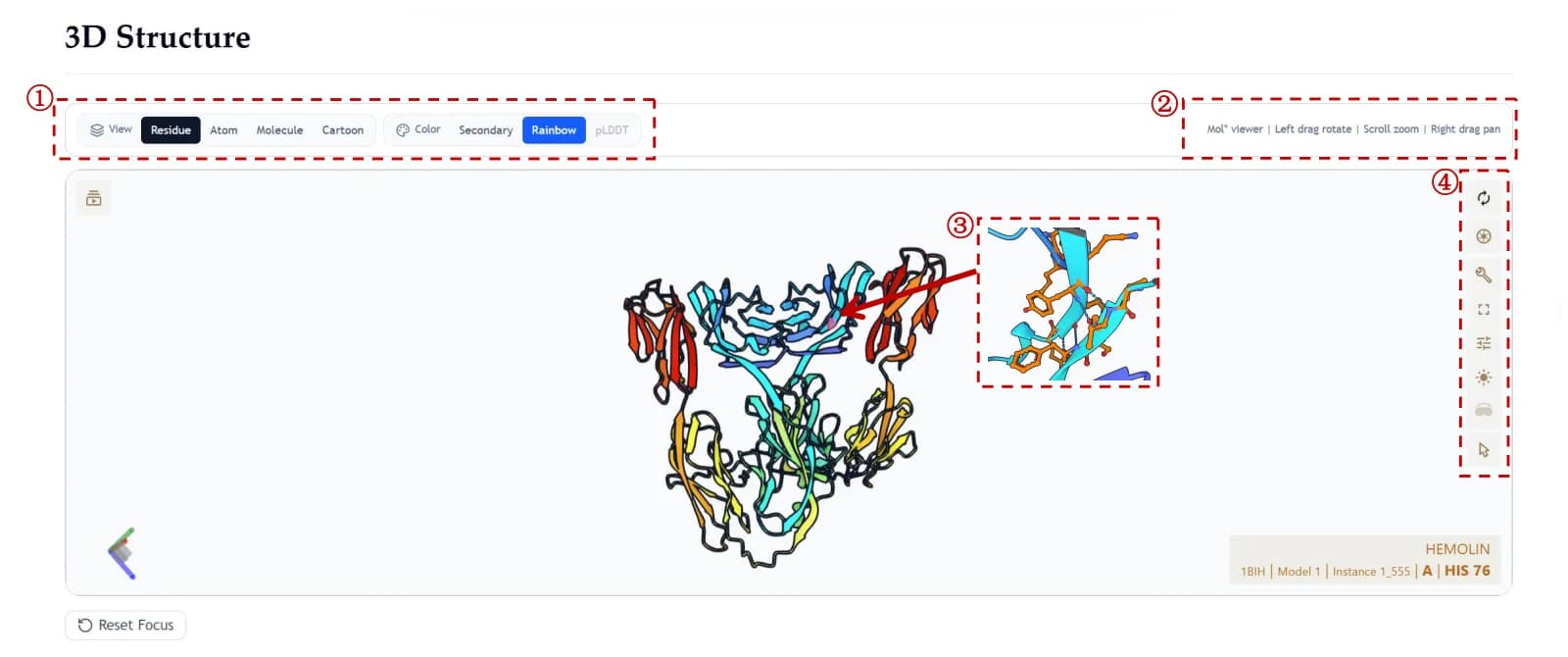 Interactive protein 3D structure viewer