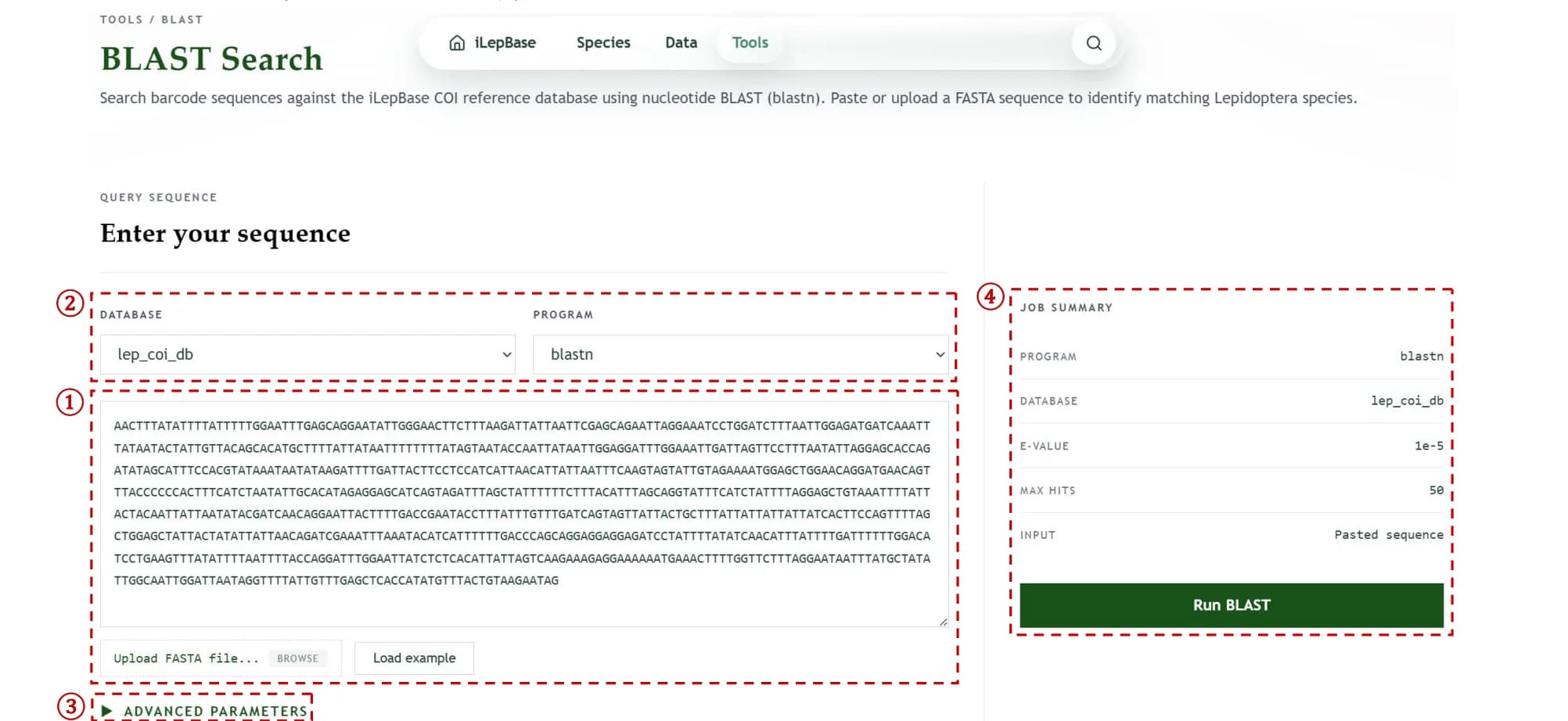 BLAST sequence search workbench